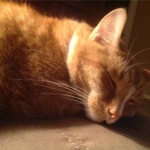 Meet your Posher, Gina